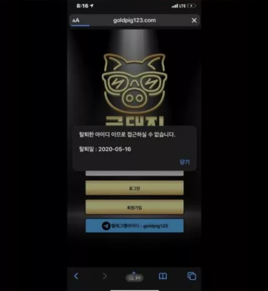 【먹튀사이트 정보공유】 금돼지