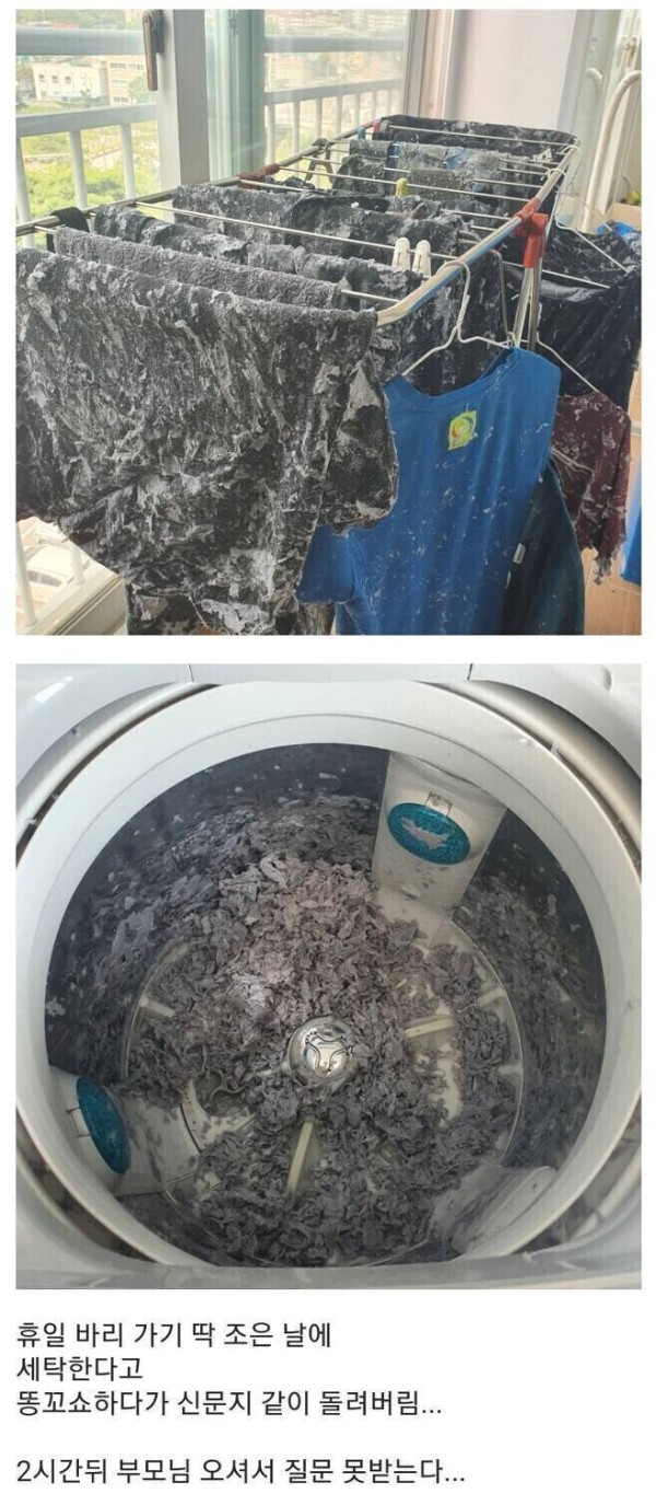 복구 불가능한 세탁기 대참사 ㄷㄷ