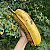 어마한 크기를 자랑하는 후아 모아 바나나