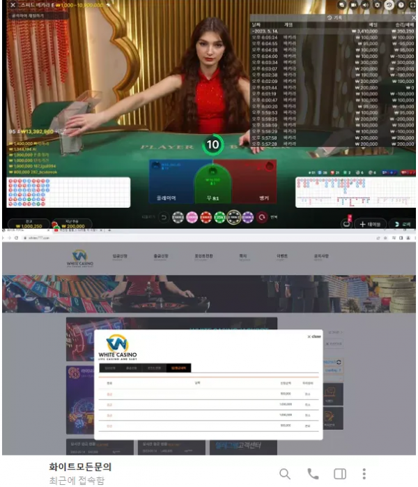 【먹튀사이트 정보공유】 화이트카지노 WHITE CASINO