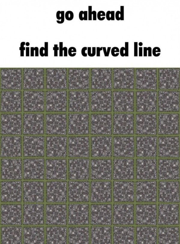 곡선을 찾아보세요