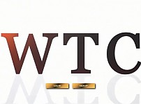 【사설토토 정보공유】 WTC